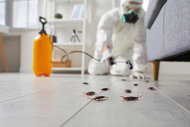 Commercial Kitchen Cockroach Control in Wood Dale
